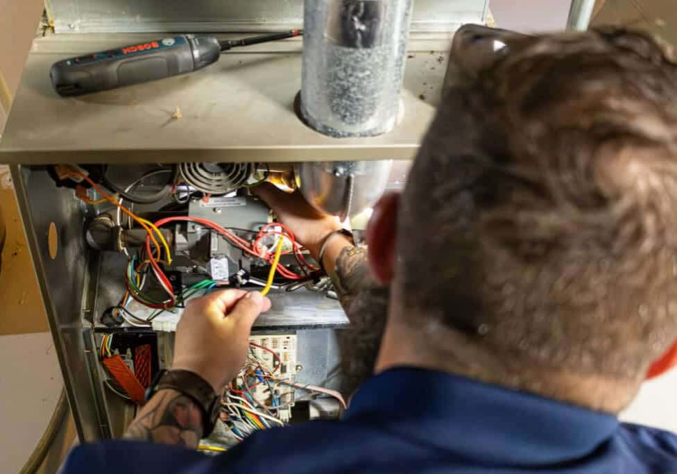 IMG_5949-Enhanced-NR-1-1024x683-1.webp